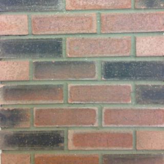 65mm Heritage Common Dragwire Bricks 